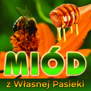 Baner reklamowy zielony z pszczołą 1x1m