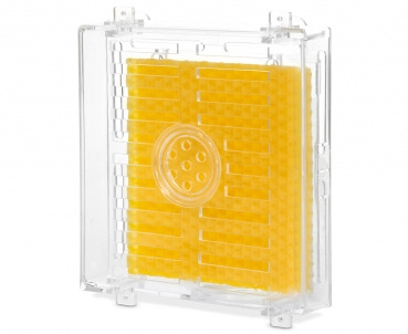 Jenter Varroa STOP Jenter Varroa STOP