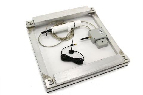 Waga pasieczna elektroniczna z rocznym abonamentem